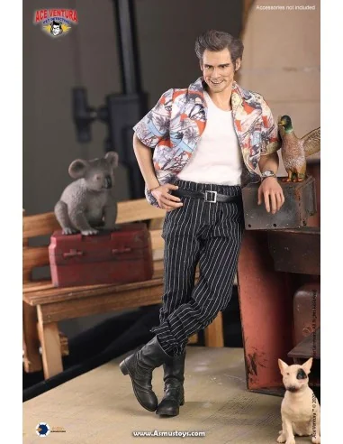 Ace Ventura: Pet Detective Action Figure 1/6 Jim Carrey 30 cm - 3 - 