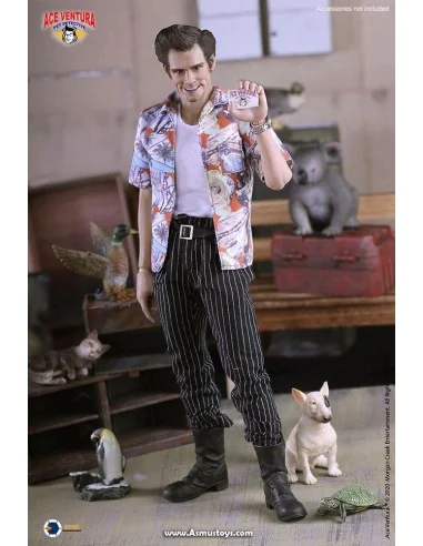 Ace Ventura: Pet Detective Action Figure 1/6 Jim Carrey 30 cm - 4 - 