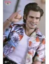 Ace Ventura: Pet Detective Action Figure 1/6 Jim Carrey 30 cm - 5 - 