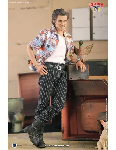 Ace Ventura: Pet Detective Action Figure 1/6 Jim Carrey 30 cm - 7 - 