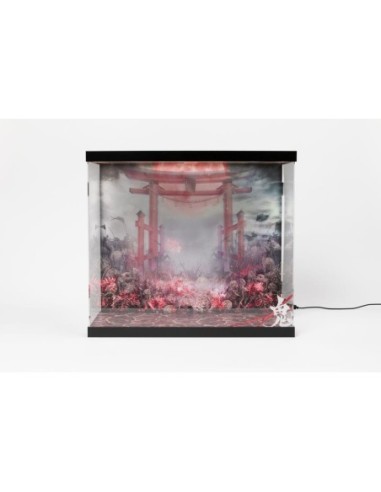 SHINSAI Acrylic Display Case with Lighting Inbina Rasethuhime Saki 39 cm