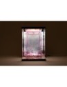 SHINSAI Acrylic Display Case with Lighting Inbina Rasethuhime Saki M Edition 39 cm  SHINSAI