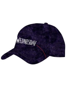 Wednesday Curved Bill Cap Logo  Heroes Inc