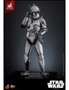 Star Wars Commander Cody MMS734 Chrome Version Exclusive 1/6 30 cm  Hot Toys