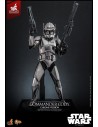 Star Wars Commander Cody MMS734 Chrome Version Exclusive 1/6 30 cm  Hot Toys