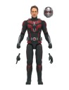 Ant-Man Fig 15 Cm Marvel Legends Series F65735x0  Hasbro