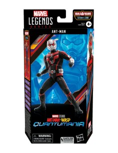 Ant-Man Fig 15 Cm Marvel Legends Series F65735x0  Hasbro