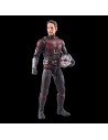 Ant-Man Fig 15 Cm Marvel Legends Series F65735x0  Hasbro