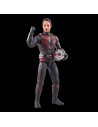 Ant-Man Fig 15 Cm Marvel Legends Series F65735x0  Hasbro