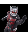 Ant-Man Fig 15 Cm Marvel Legends Series F65735x0  Hasbro