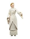 Star Wars Andor Black Series Senator Mon Mothma 15 cm  Hasbro