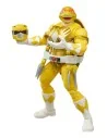 Power Rangers x Ninja Turtles Morphed April O´Neil & Michelangelo  Hasbro