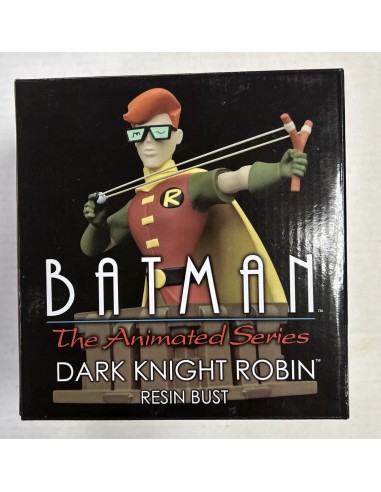 Robin 13cm Dark Knight Busto Batman The Animated Series Universo Dc  Diamond Select