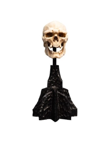 Lord of the Rings Mini Statue Skull of a Mordor Orc 14 cm