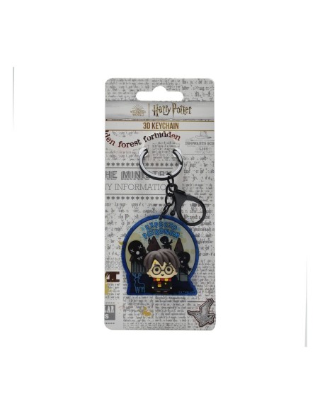 Harry Potter 3D Acrylic Keychain Harry