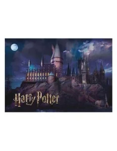 Harry Potter Puzzle Hogwarts (50 pieces)