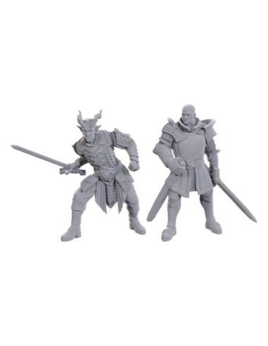 D&D Nolzur's Marvelous Miniatures Unpainted Miniature Ulder Ravengard & Zevlor