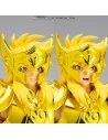 Saint Seiya Saint Cloth Myth Ex Aquarius Hyoga Inheritor Of The Gold Cloth 17 cm 179,99 € Bandai Tamashii Nations