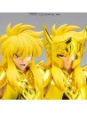 Saint Seiya Saint Cloth Myth Ex Aquarius Hyoga Inheritor Of The Gold Cloth 17 cm 179,99 € Bandai Tamashii Nations