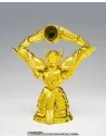 Saint Seiya Saint Cloth Myth Ex Aquarius Hyoga Inheritor Of The Gold Cloth 17 cm 179,99 € Bandai Tamashii Nations