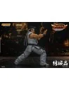 Virtua Fighter 5 Ultimate Showdown Action Figure 1/12 Akira Yuki 18 cm - 4 - 