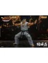 Virtua Fighter 5 Ultimate Showdown Action Figure 1/12 Akira Yuki 18 cm - 10 - 