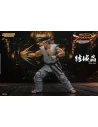 Virtua Fighter 5 Ultimate Showdown Action Figure 1/12 Akira Yuki 18 cm - 11 - 