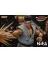 Virtua Fighter 5 Ultimate Showdown Action Figure 1/12 Akira Yuki 18 cm - 12 - 