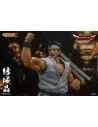 Virtua Fighter 5 Ultimate Showdown Action Figure 1/12 Akira Yuki 18 cm - 13 - 