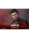 Shang-Chi and the Legend of the Ten Rings 1/6 MMS614 - 12 - 