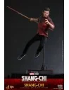 Shang-Chi and the Legend of the Ten Rings 1/6 MMS614 - 16 - 