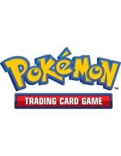 Pokemon TCG EX Box Juni 2024 *German Version*