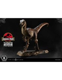 Jurassic Park Prime Collectibles Statue 1/10 Velociraptor Open Mouth 19 cm