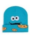 Sesame Street Beanie Cookie Monster  Difuzed