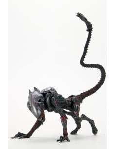 Aliens Action Figure Night Cougar Alien Kenner Tribute 23 cm - 1 - 