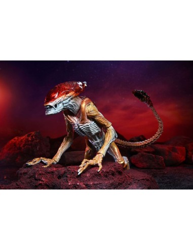 Aliens Action Figure Panther Alien Kenner Tribute 23 cm