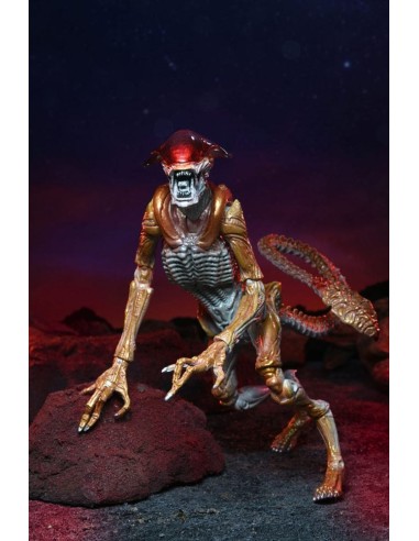 Aliens Action Figure Panther Alien Kenner Tribute 23 cm