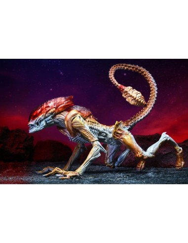 Aliens Action Figure Panther Alien Kenner Tribute 23 cm