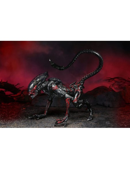 Aliens Action Figure Night Cougar Alien Kenner Tribute 23 cm