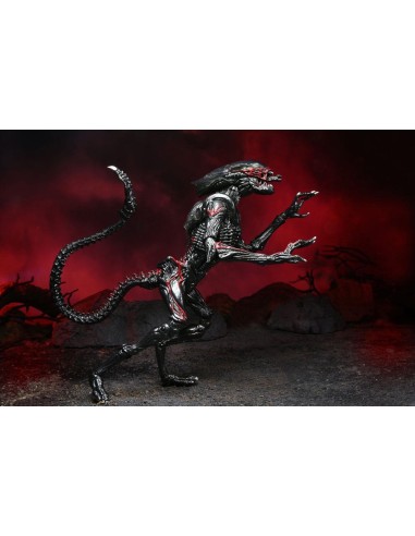 Aliens Action Figure Night Cougar Alien Kenner Tribute 23 cm