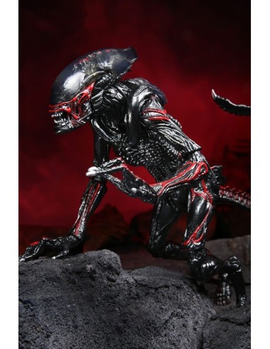 Aliens Action Figure Night Cougar Alien Kenner Tribute 23 cm