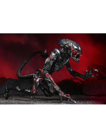 Aliens Action Figure Night Cougar Alien Kenner Tribute 23 cm