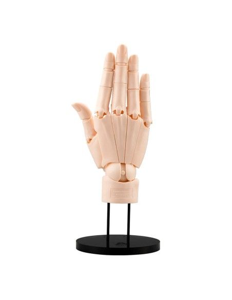 Takahiro Kagami PVC Artist Support Item Hand 1/1 Model/R Pale Orange 21 cm  Kotobukiya