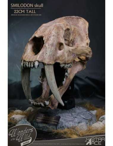 Wonders of the Wild Series Statue Smilodon Skull Fossil 22 cm  Star Ace Toys