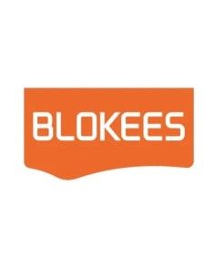 Transformers Blokees Plastic Model Kit Galaxy Version 05 One Assortment (9)  Blokees