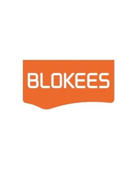 Transformers Blokees Plastic Model Kit Galaxy Version 05 One Assortment (9)  Blokees