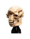 Lord of the Rings Mini Statue Skull of a Cave Troll 21 cm  Weta Workshop