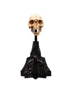 Lord of the Rings Mini Statue Skull of a Moria Orc 13 cm  Weta Workshop